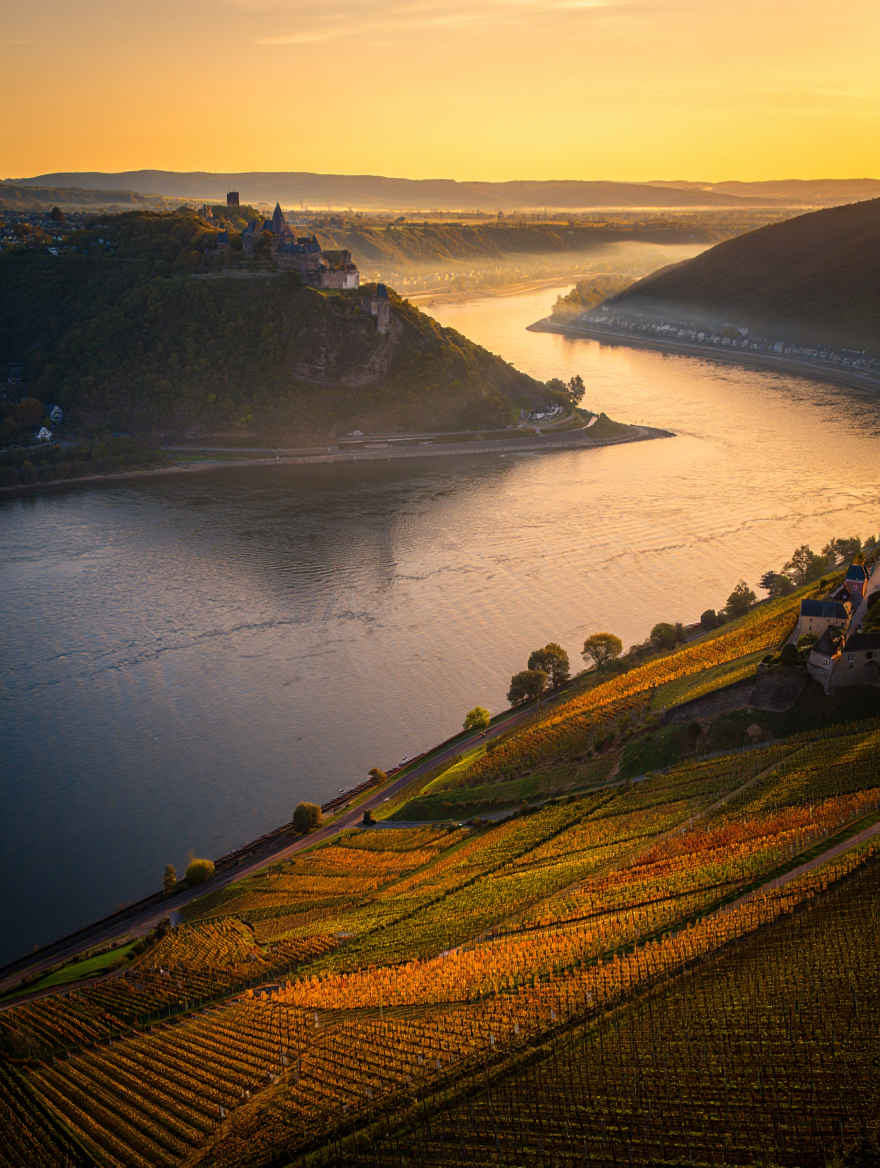 Rheintal mit Weinbergen und dem Loreley-Felsen im Morgenrot